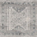 Jules Traditional Light Gray/White/Charcoal Area Rug