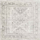 Jules Traditional Light Gray/White/Charcoal Area Rug