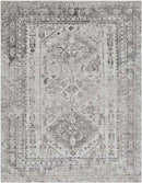 Jules Traditional Light Gray/White/Charcoal Area Rug