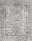 Jules Traditional Light Gray/White/Charcoal Area Rug
