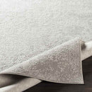 Ximena Traditional Light Gray Area Rug