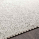 Ximena Traditional Light Gray Area Rug