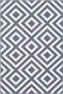 Maya Modern Charcoal Area Rug