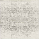 Amelia Traditional Charcoal/Light Gray/Beige Area Rug