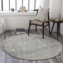 Amelia Traditional Charcoal/Light Gray/Beige Area Rug