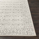 Caen Traditional Gray/Charcoal Area Rug