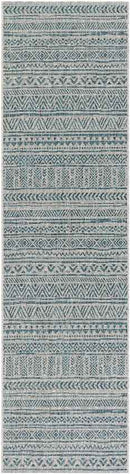 Elodie Global Aqua Area Rug
