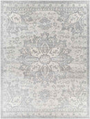Clichy Traditional Medium Gray Area Rug