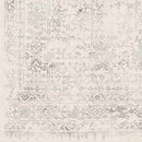 Hyeres Traditional Gray Area Rug
