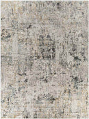 David Modern Gray Area Rug