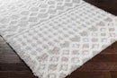 Carter Global Light Gray Area Rug