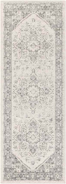 Chartres Traditional Light Gray Area Rug