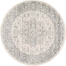 Chartres Traditional Light Gray Area Rug