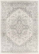 Chartres Traditional Light Gray Area Rug