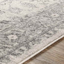 Chartres Traditional Light Gray Area Rug