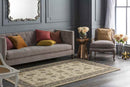 Trappes Traditional Khaki Area Rug