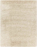 Etampes Modern Beige Area Rug