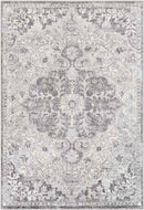 Cenon Traditional Gray/White/Charcoal Area Rug
