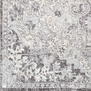 Cenon Traditional Gray/White/Charcoal Area Rug
