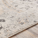 Avellino Traditional Charcoal Area Rug