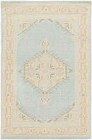 Chieti Traditional Sage Area Rug