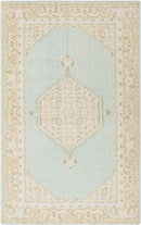Chieti Traditional Sage Area Rug