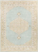 Chieti Traditional Sage Area Rug