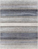 Bailey Modern Medium Gray Area Rug
