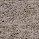 Caroline Modern Taupe Area Rug