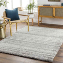 Gaston Modern Taupe Area Rug
