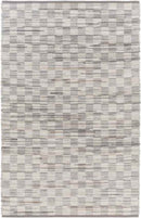 Altheimer Modern Gray Area Rug