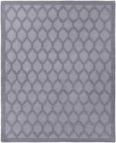 Ames Modern Cool Gray Area Rug