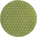 Ames Modern Green Area Rug
