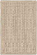 Thaya Modern Beige Area Rug