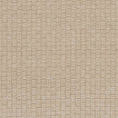 Thaya Modern Beige Area Rug