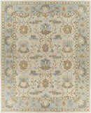 Odo Traditional Light Gray Area Rug