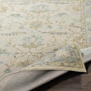 Odo Traditional Light Gray Area Rug