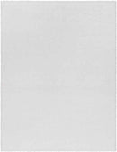 Pierre Modern White Area Rug