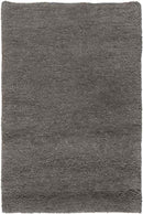 Coweta Modern Charcoal Area Rug