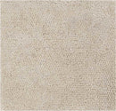 Coweta Modern Khaki Area Rug