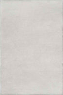 Davis Modern Beige Area Rug
