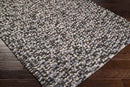 Echols Modern Light Gray Area Rug