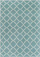 Selwerd Modern Aqua Area Rug