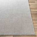 Remy Modern Medium Gray Area Rug