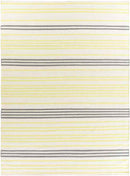 Epes Modern Lime/Gray Area Rug