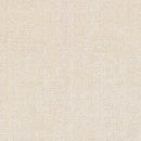 Remy Modern Ivory Area Rug