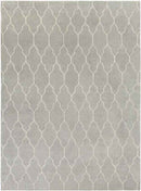 Flagstaff Modern Taupe Area Rug