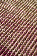 Garden Modern Hot Pink Area Rug