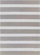 Koyuk Modern Medium Gray/Cream Area Rug