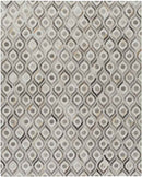 Bideford Modern Medium Gray Area Rug